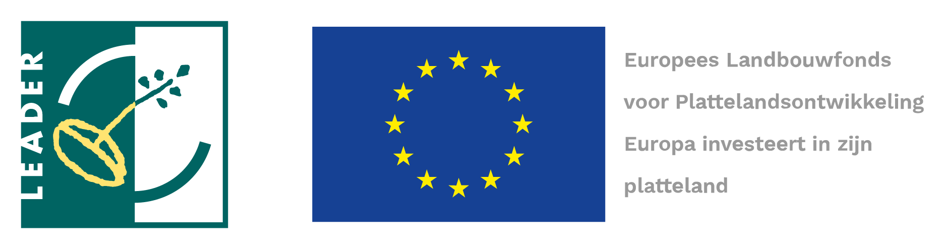 eu & leader logo